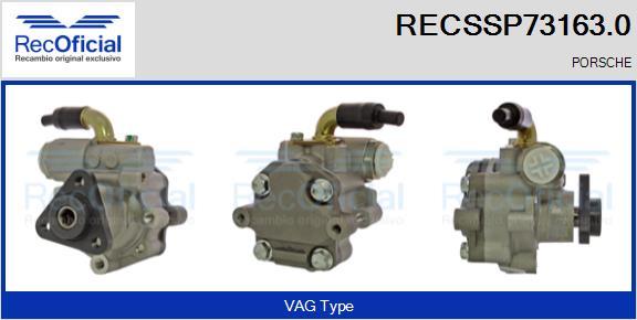 RECOFICIAL RECSSP73163.0 - Pompe hydraulique, direction cwaw.fr