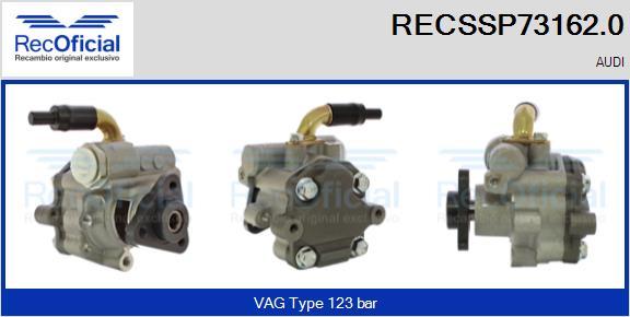 RECOFICIAL RECSSP73162.0 - Pompe hydraulique, direction cwaw.fr