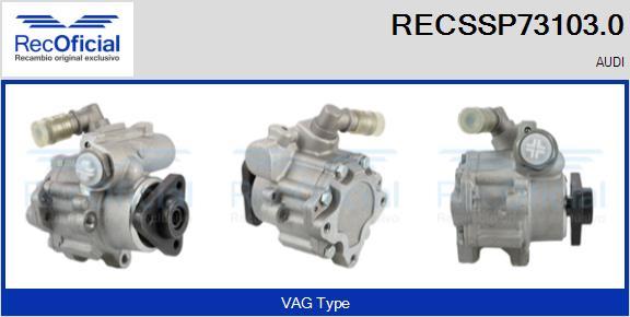 RECOFICIAL RECSSP73103.0 - Pompe hydraulique, direction cwaw.fr