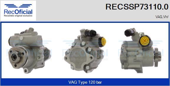 RECOFICIAL RECSSP73110.0 - Pompe hydraulique, direction cwaw.fr