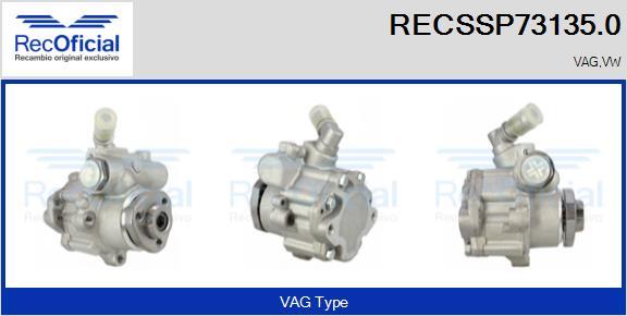 RECOFICIAL RECSSP73135.0 - Pompe hydraulique, direction cwaw.fr