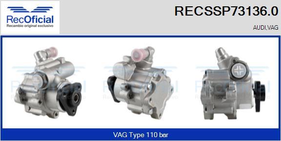 RECOFICIAL RECSSP73136.0 - Pompe hydraulique, direction cwaw.fr