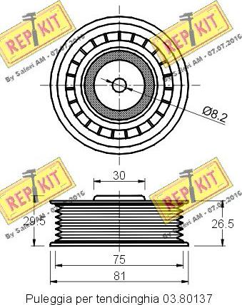 REPKIT RKT1578 - Poulie renvoi / transmission, courroie trapézoïdale à nervures cwaw.fr