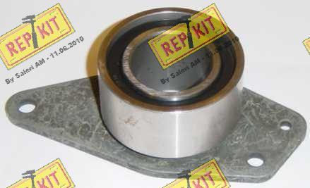 REPKIT RKT1609 - Poulie renvoi / transmission, courroie de distribution cwaw.fr