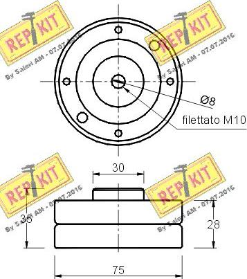 REPKIT RKT1011 - Poulie renvoi / transmission, courroie de distribution cwaw.fr