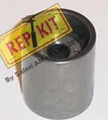 REPKIT RKT1864 - Poulie renvoi / transmission, courroie de distribution cwaw.fr