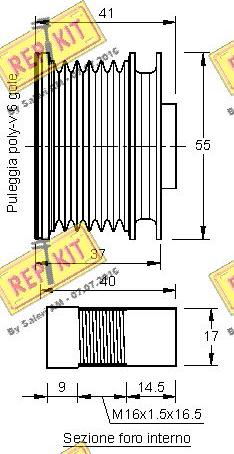 REPKIT RKT3195 - Poulie, alternateur cwaw.fr