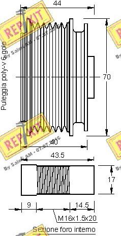 REPKIT RKT3169 - Poulie, alternateur cwaw.fr