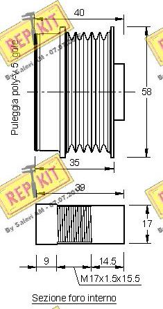 REPKIT RKT3176 - Poulie, alternateur cwaw.fr