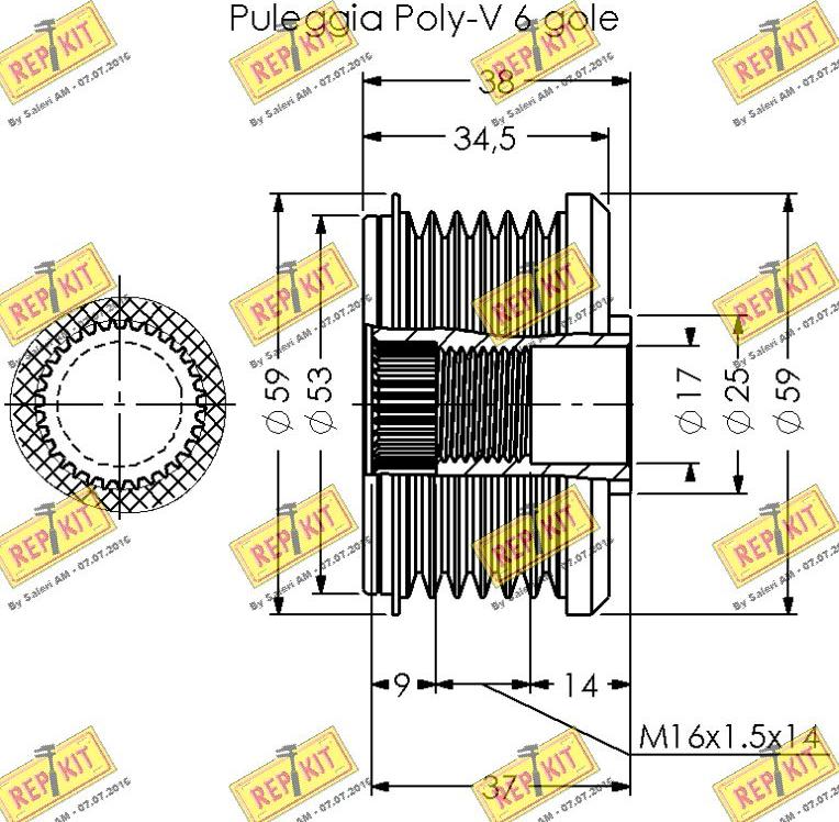 REPKIT RKT3367 - Poulie, alternateur cwaw.fr