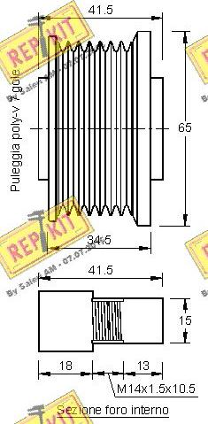 REPKIT RKT3213 - Poulie, alternateur cwaw.fr