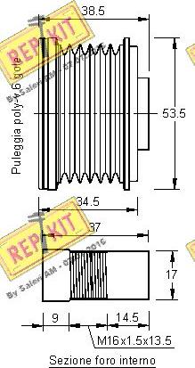 REPKIT RKT2369 - Poulie, alternateur cwaw.fr