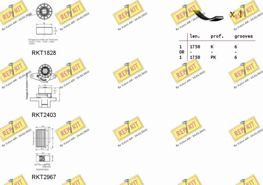 REPKIT RKTA0108 - Jeu de courroies trapézoïdales à nervures cwaw.fr