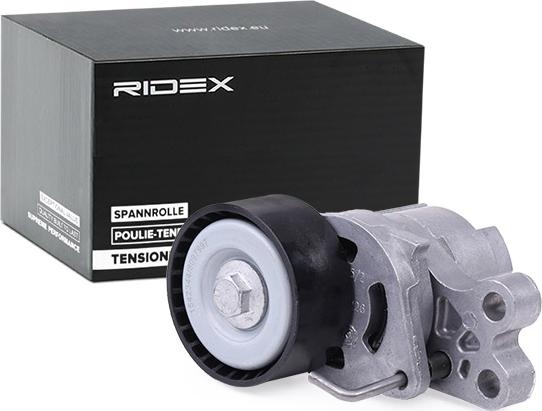 RIDEX 310T0056 - Tendeur de courroie, courroie trapézoïdale à nervures cwaw.fr