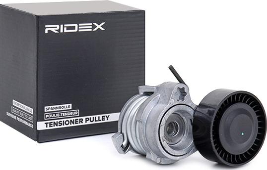 RIDEX 310T0141 - Poulie renvoi / transmission, courroie trapézoïdale à nervures cwaw.fr