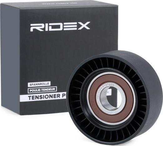 RIDEX 310T0166 - Poulie renvoi / transmission, courroie trapézoïdale à nervures cwaw.fr