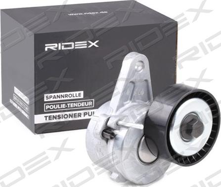 RIDEX 310T0293 - Poulie renvoi / transmission, courroie trapézoïdale à nervures cwaw.fr