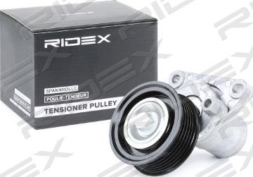 RIDEX 310T0212 - Poulie renvoi / transmission, courroie trapézoïdale à nervures cwaw.fr