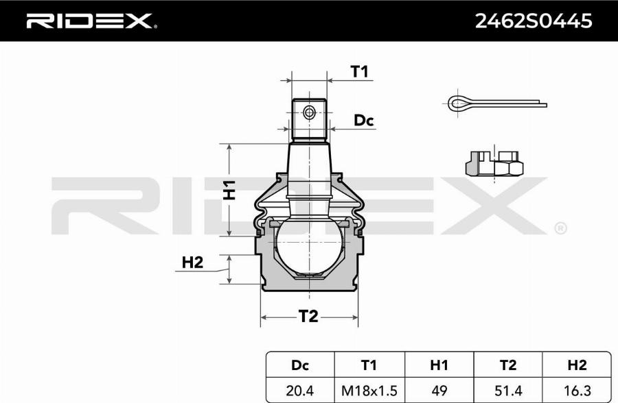 RIDEX 2462S0445 - Rotule de suspension cwaw.fr