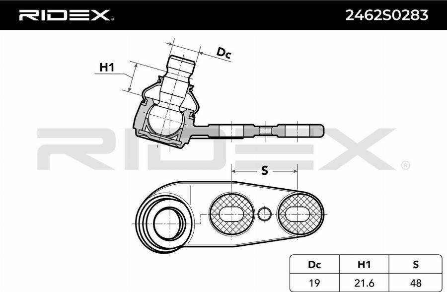 RIDEX 2462S0283 - Rotule de suspension cwaw.fr