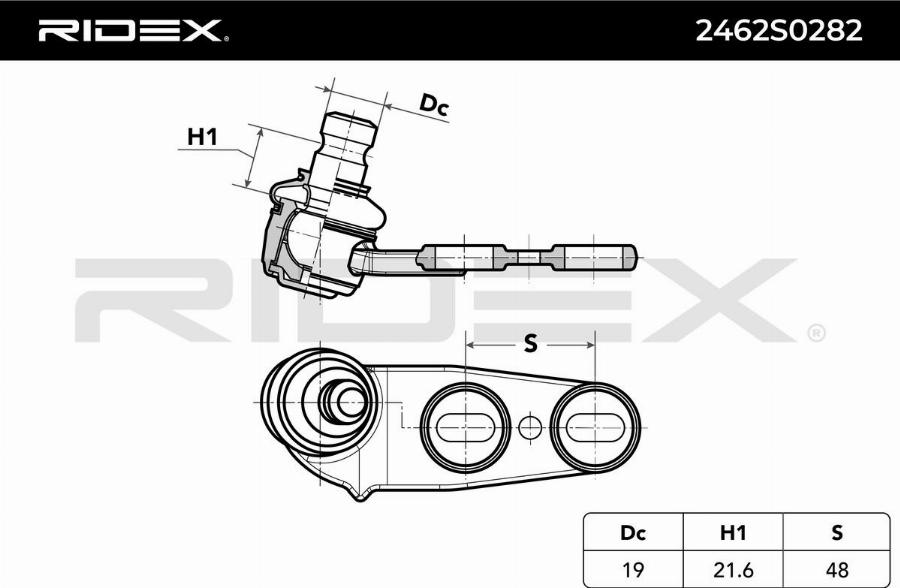 RIDEX 2462S0282 - Rotule de suspension cwaw.fr