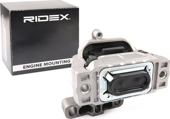 RIDEX 247E0613 - Support moteur cwaw.fr