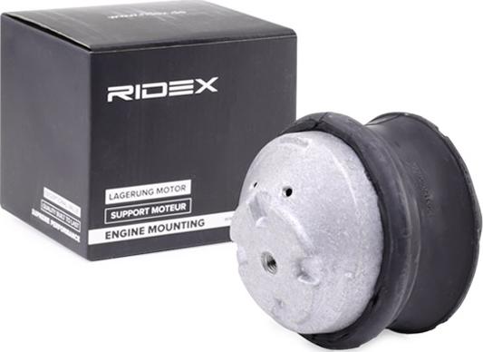 RIDEX 247E0098 - Support moteur cwaw.fr