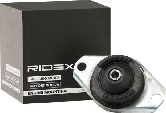 RIDEX 247E0194 - Support moteur cwaw.fr