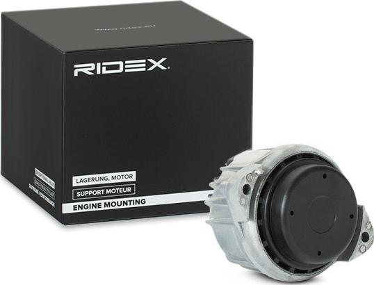 RIDEX 247E0168 - Support moteur cwaw.fr