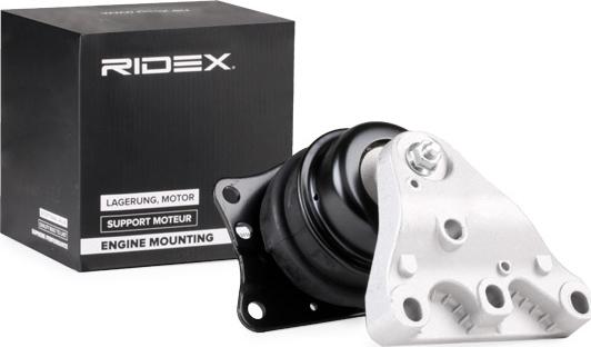 RIDEX 247E0203 - Support moteur cwaw.fr