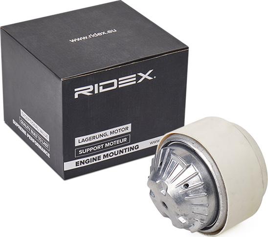 RIDEX 247E0210 - Support moteur cwaw.fr