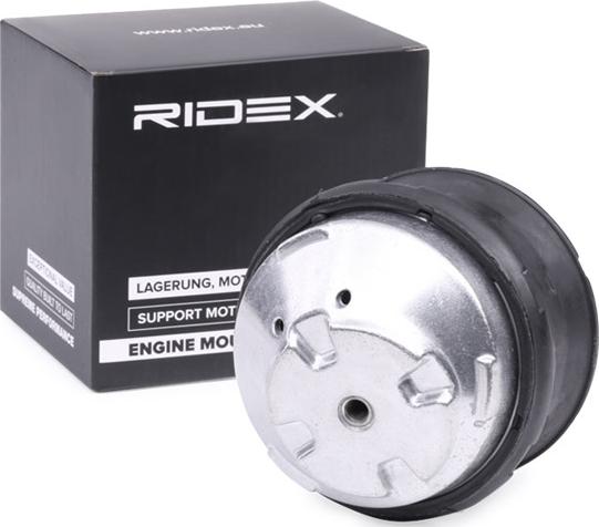 RIDEX 247E0213 - Support moteur cwaw.fr