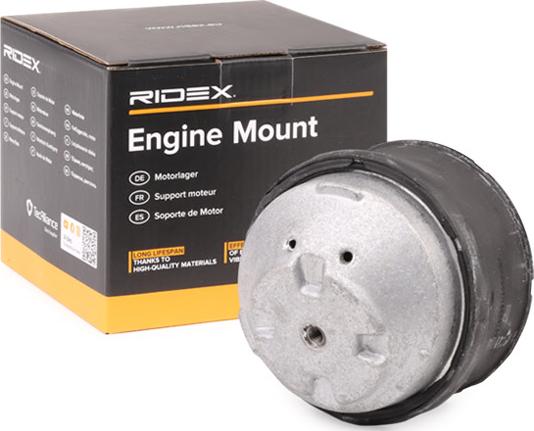 RIDEX 247E0729 - Support moteur cwaw.fr