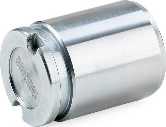 RIDEX 2248P0016 - Piston, étrier de frein cwaw.fr