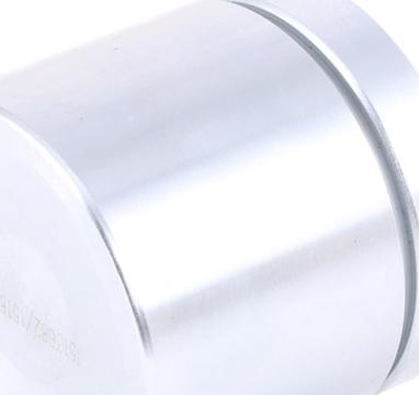 RIDEX 2248P0027 - Piston, étrier de frein cwaw.fr