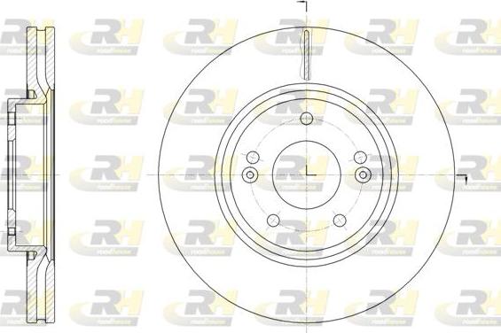 Roadhouse 61904.10 - Disque de frein cwaw.fr