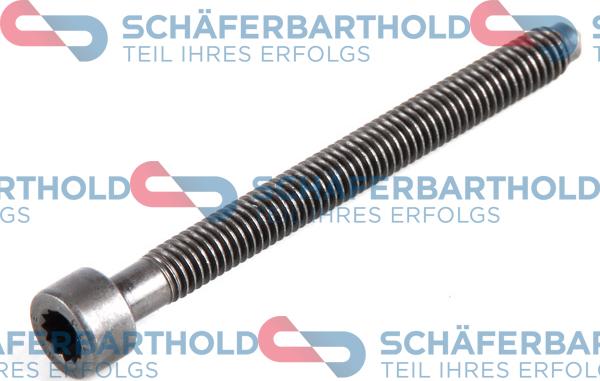 Schferbarthold 100 18 299 01 11 - Vis à tenon carré, Pompe à injection cwaw.fr