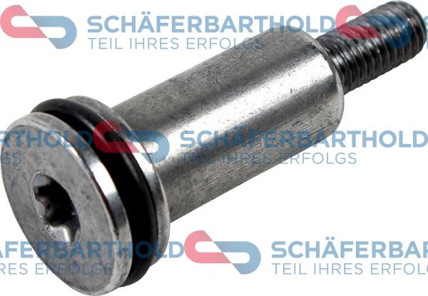 Schferbarthold 310 27 530 01 11 - Boulon de coulisse, chaîne de distribution cwaw.fr