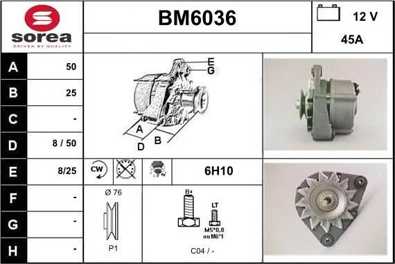 Sera BM6036 - Alternateur cwaw.fr