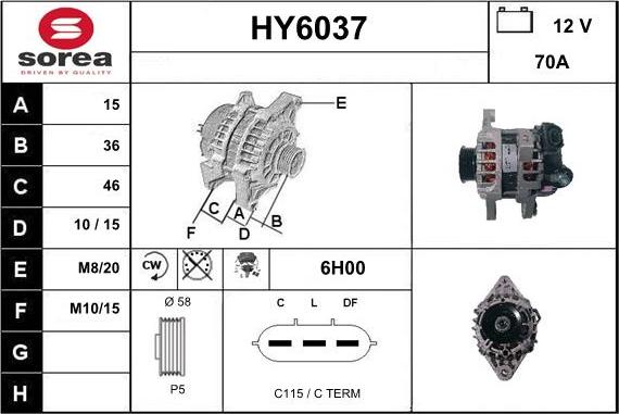 Sera HY6037 - Alternateur cwaw.fr