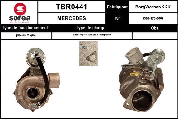 Sera TBR0441 - Turbocompresseur, suralimentation cwaw.fr