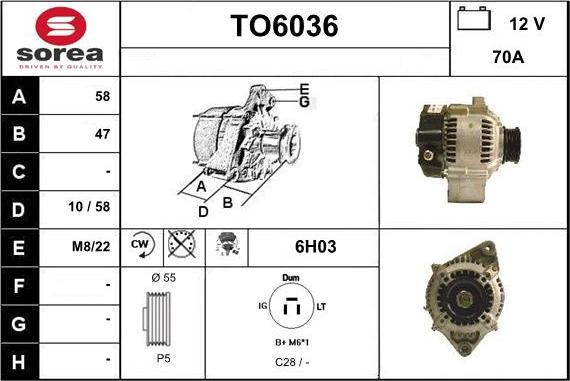 Sera TO6036 - Alternateur cwaw.fr