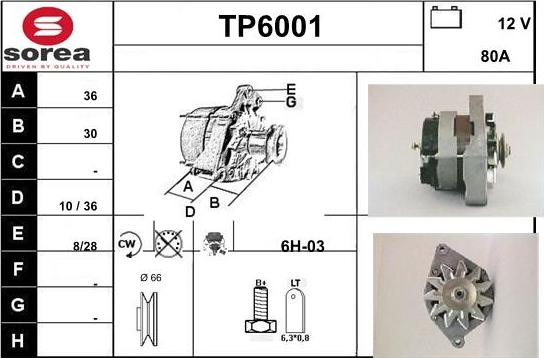 Sera TP6001 - Alternateur cwaw.fr