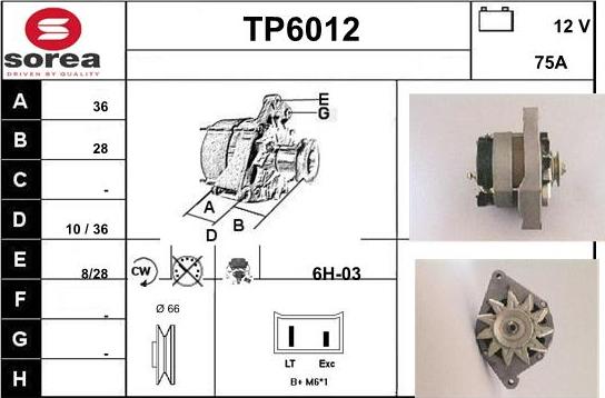 Sera TP6012 - Alternateur cwaw.fr