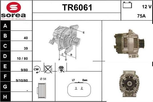 Sera TR6061 - Alternateur cwaw.fr