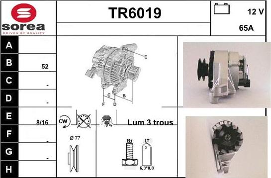 Sera TR6019 - Alternateur cwaw.fr