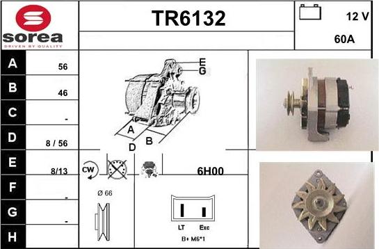 Sera TR6132 - Alternateur cwaw.fr