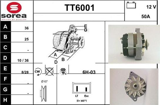 Sera TT6001 - Alternateur cwaw.fr