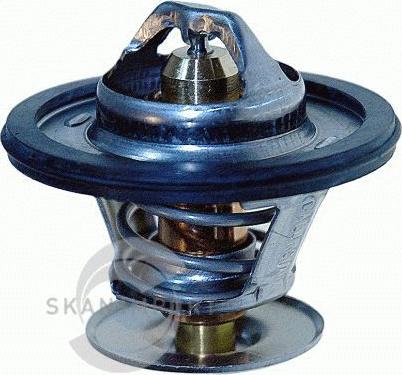 SKANIMPORT T-1664 - Thermostat d'eau cwaw.fr