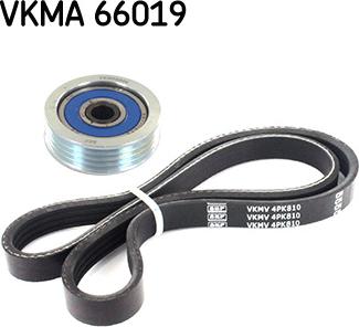 SKF VKMA 66019 - Jeu de courroies trapézoïdales à nervures cwaw.fr